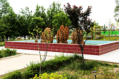 校园风景组图